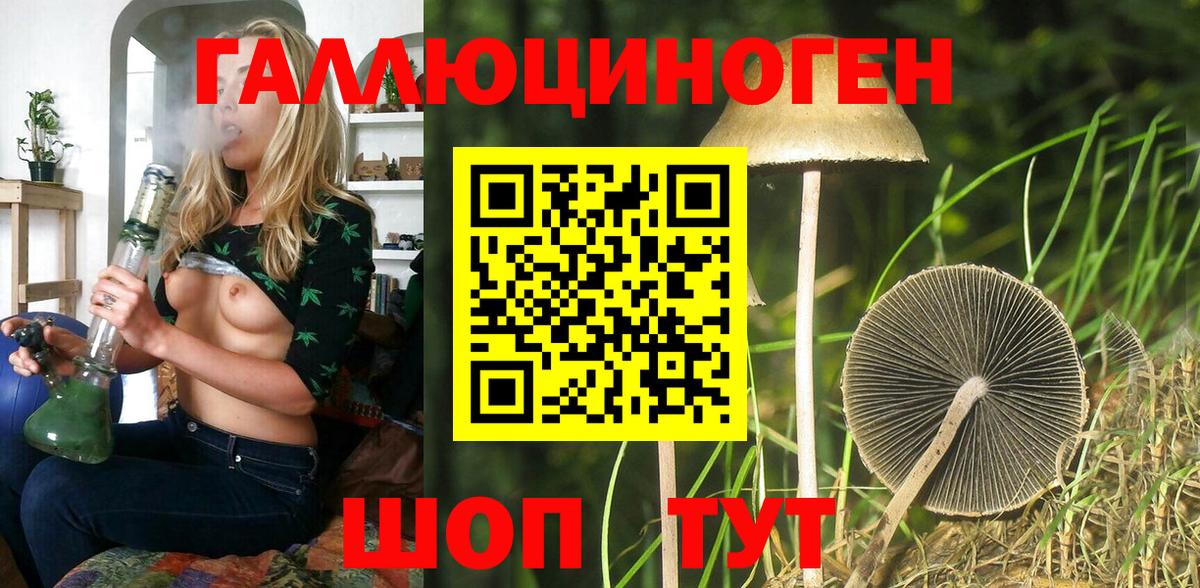 Алексин  Галлюциногенные грибы прущие грибы  Вход с VPN  Галлюциногенные грибы Psilocybine cubensis 
